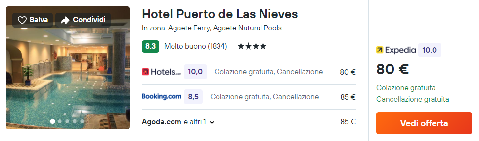 Hotel Puerto de Las Nieves