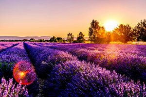 France Provence unsplash