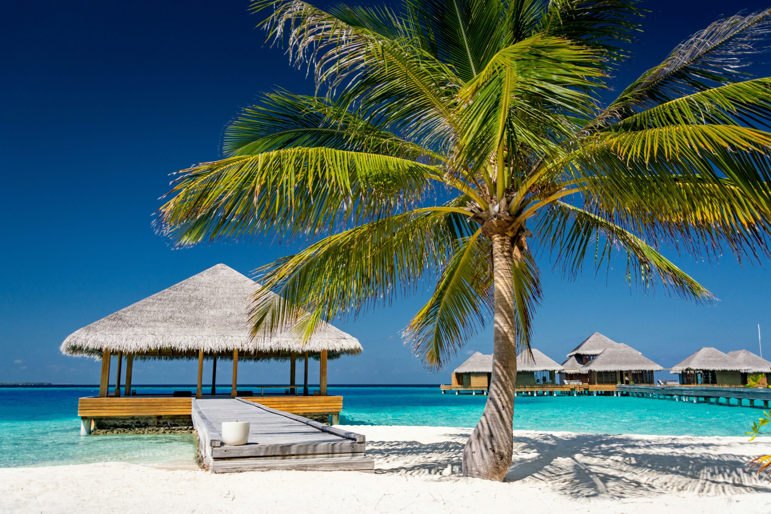 Maldives unsplash