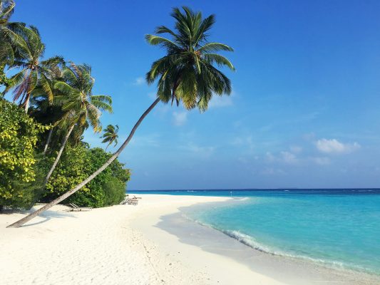 Maldives unsplash