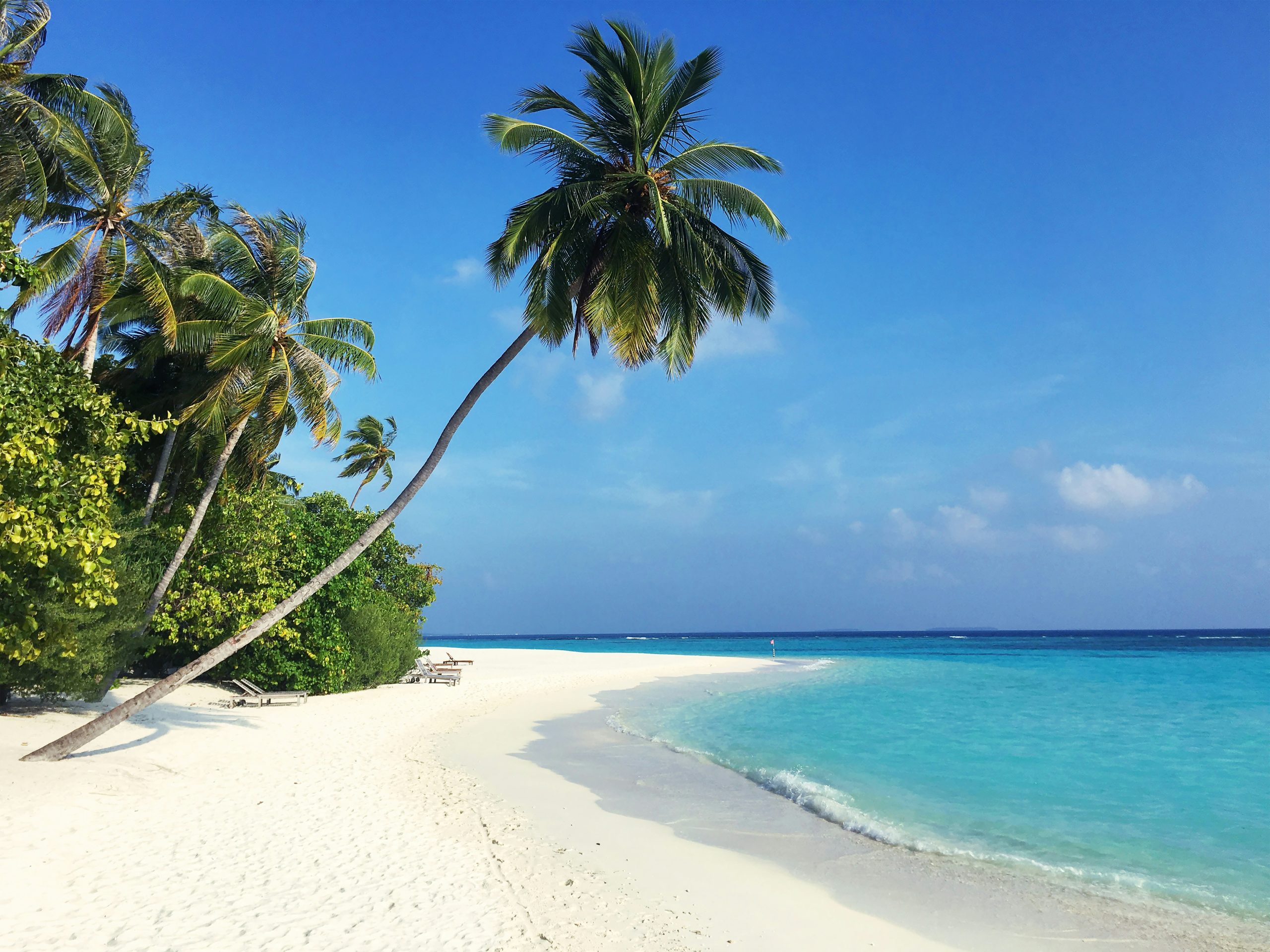 Maldives unsplash