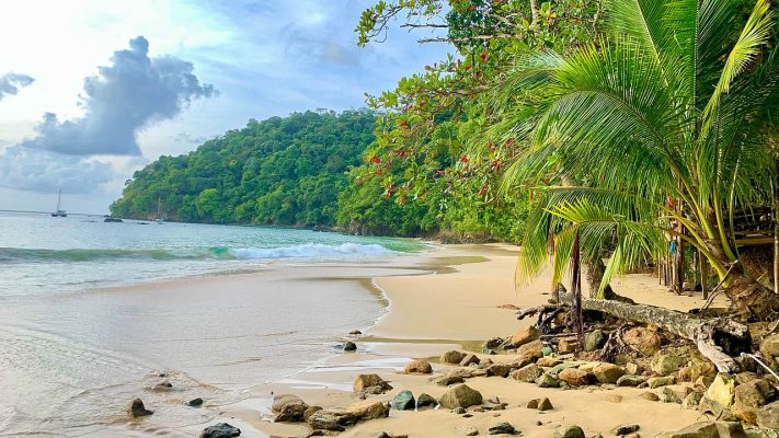 Trinidad and Tobago pixabay