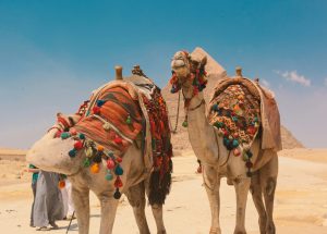 Egypr Cairo unsplash