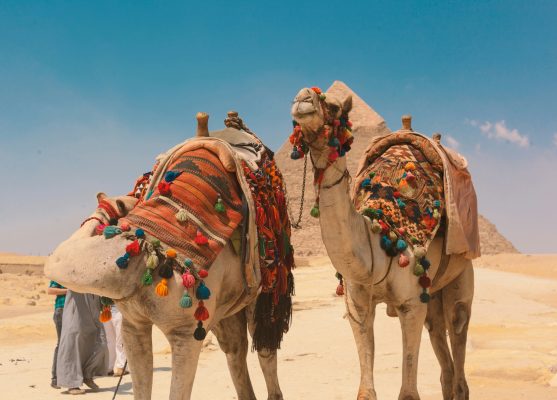 Egypr Cairo unsplash
