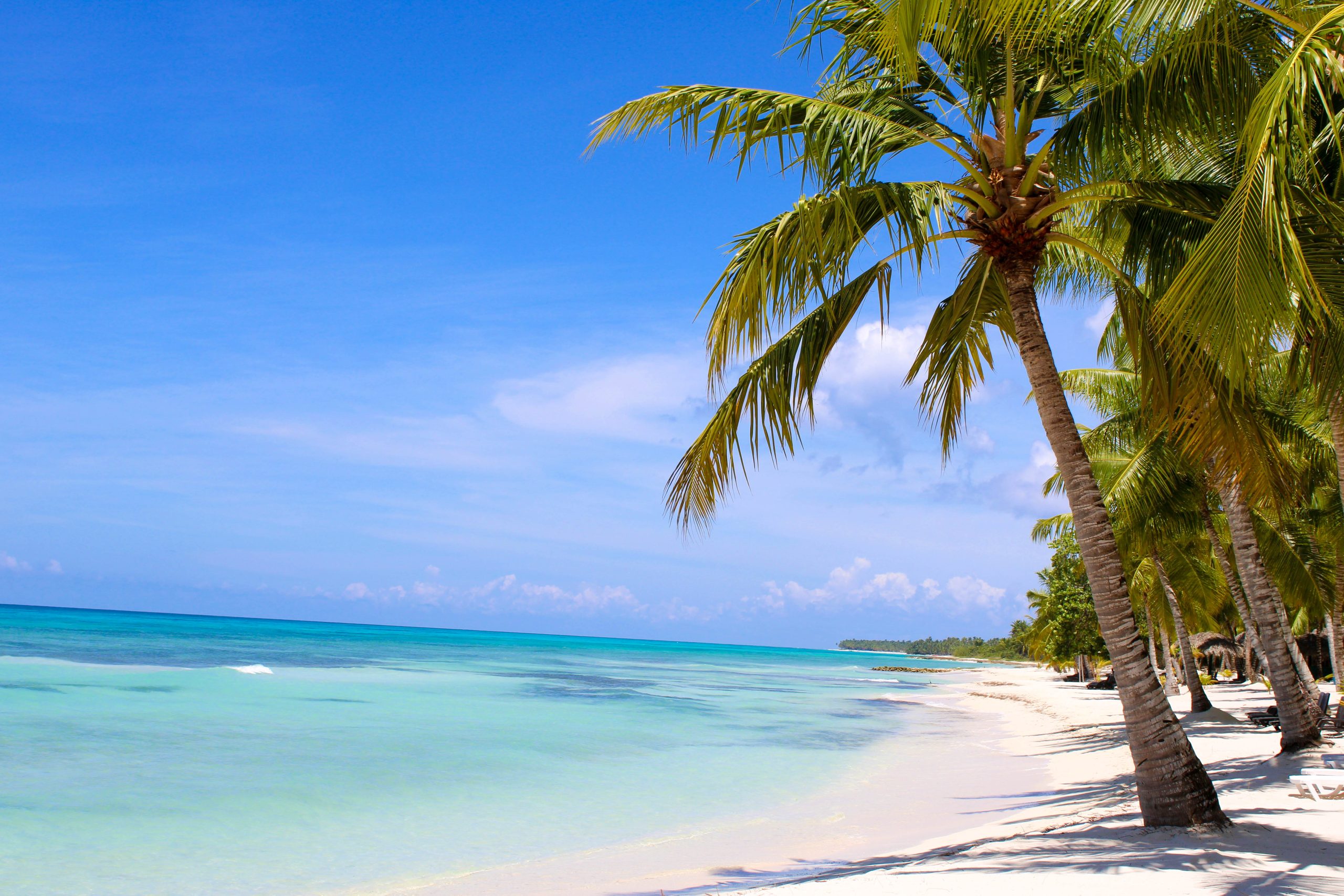 Dominican Republic Saona unsplash