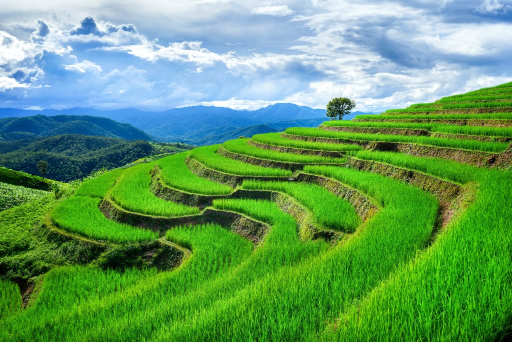 Vietnam unsplash